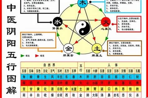 屬鼠的五行|生肖鼠五行属什么？从土到木，解密老鼠的五行属性